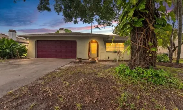 2202 Citrus Hill Lane, Palm Harbor, FL, 34683