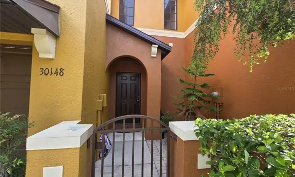 30148 Goodwick Way, Wesley Chapel, FL, 33543
