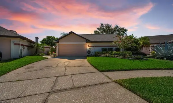 6923 Silvermill Drive, Tampa, FL, 33635