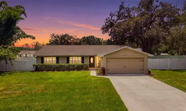 23252 Charlston Place, Land O Lakes, FL, 34639