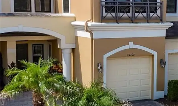30305 Southwell Lane, Wesley Chapel, FL, 33543