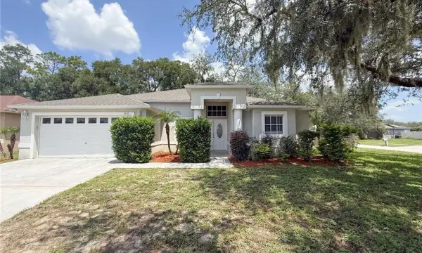 1430 Monte Lake Drive, Valrico, FL, 33596