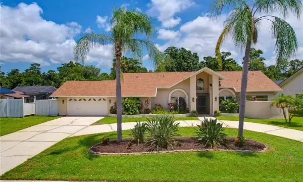 80 Foxfire Lane, Oldsmar, FL, 34677