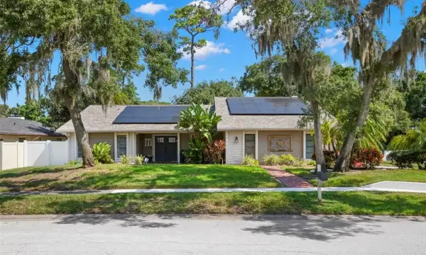 1419 Indian Trail S, Palm Harbor, FL, 34683