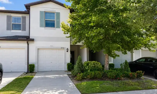 3836 Cat Mint Street, Tampa, FL, 33619