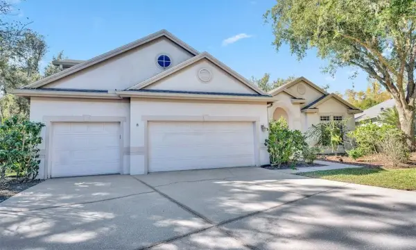 10218 Shadow Branch Drive, Tampa, FL, 33647