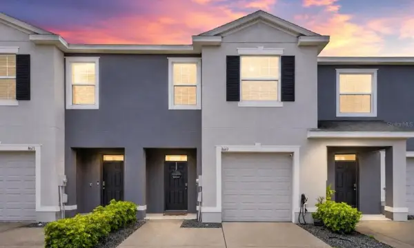 8669 Falling Blue Place, Riverview, FL, 33578