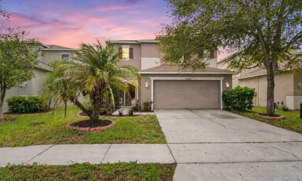 19604 Timberbluff Drive, Land O Lakes, FL, 34638
