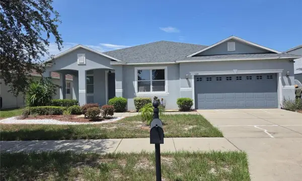 11114 Hartford Fern Drive, Riverview, FL, 33569