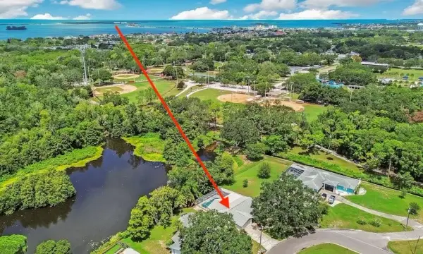 1788 Patricia Avenue, Dunedin, FL, 34698