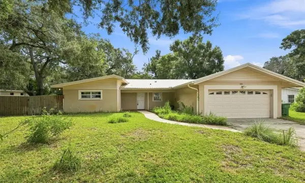 11515 N Ravine Road, Tampa, FL, 33612
