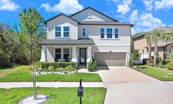 8721 Savory Walk Drive, Land O Lakes, FL, 34637