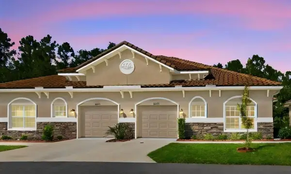 29817 Anand Vihar Drive, Wesley Chapel, FL, 33543