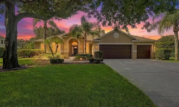19724 Prince Benjamin Drive, Lutz, FL, 33549