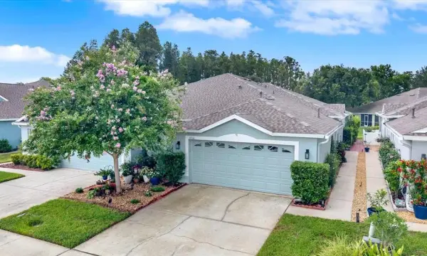 19144 Weymouth Drive, Land O Lakes, FL, 34638