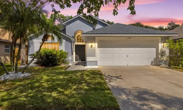 10148 Somersby Drive, Riverview, FL, 33578