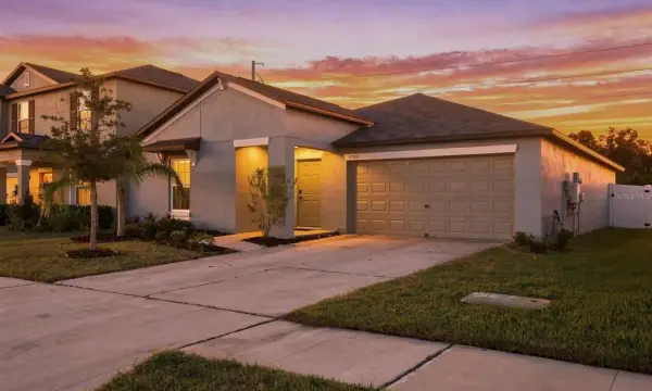 10358 Shady Preserve Drive, Riverview, FL, 33578