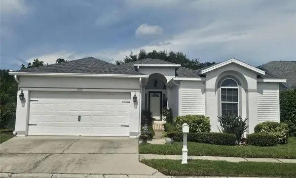 603 Canal Way, Oldsmar, FL, 34677