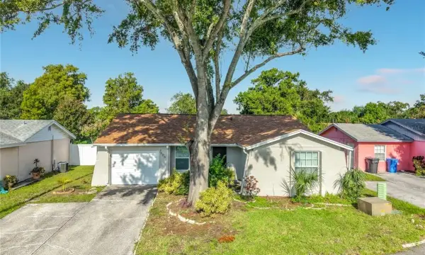 7606 Woodland Oaks Court, Tampa, FL, 33615