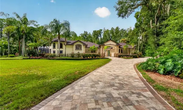 21732 Shamu Drive, Land O Lakes, FL, 34639