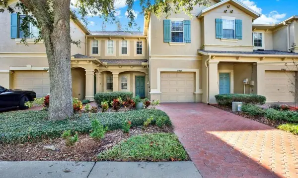 17454 Stinchar Drive, Land O Lakes, FL, 34638