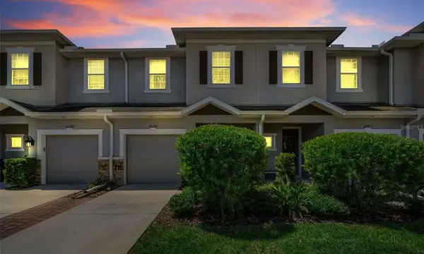 26399 Limestone Springs Way, Wesley Chapel, FL, 33544