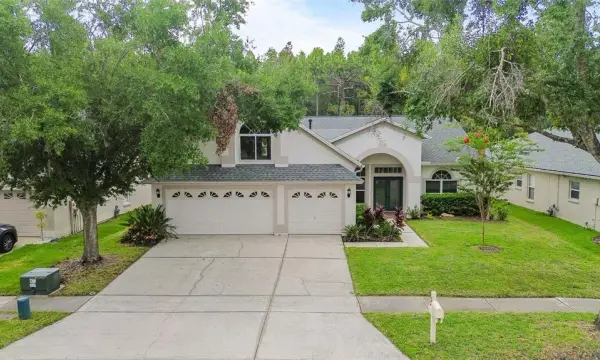 10217 Timberland Point Drive, Tampa, FL, 33647
