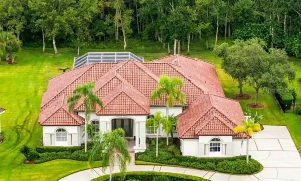 4626 Rue Bordeaux Drive, Lutz, FL, 33558