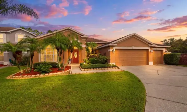 8518 Parrots Landing Drive, Tampa, FL, 33647