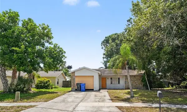 11329 Blackbark Dr, Riverview, FL, 33579