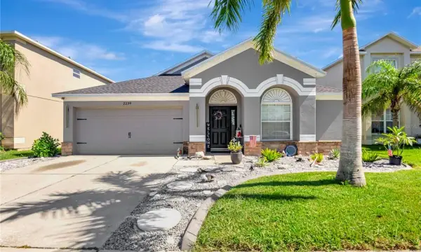 2239 Roanoke Springs Drive, Ruskin, FL, 33570