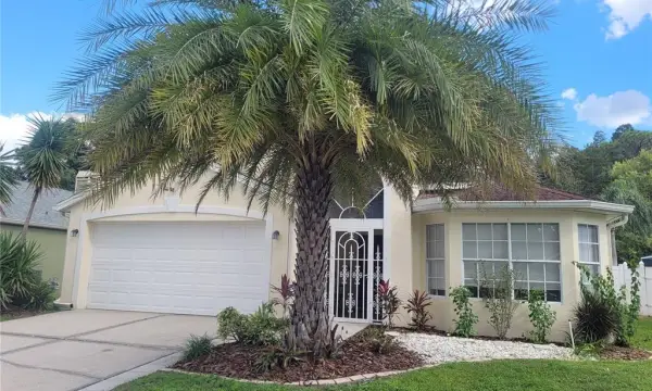 28935 Stormcloud Pass, Wesley Chapel, FL, 33543