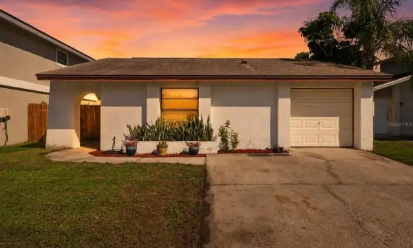 10311 Chadbourne Drive, Tampa, FL, 33624