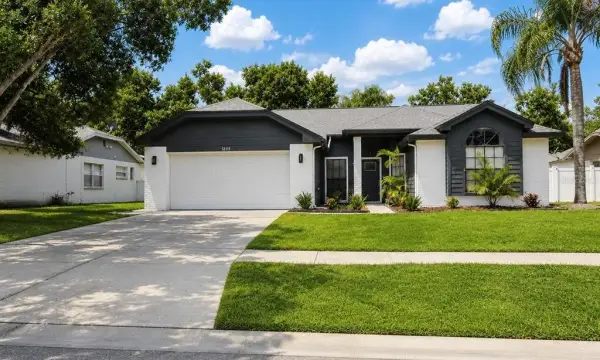12111 Wildbrook Drive, Riverview, FL, 33569