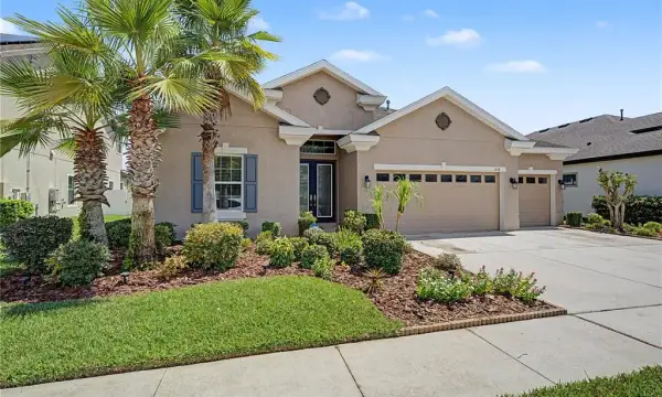 8118 Water Color Drive, Land O Lakes, FL, 34638