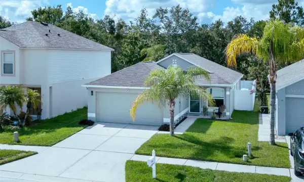 30516 Birdhouse Drive, Wesley Chapel, FL, 33545
