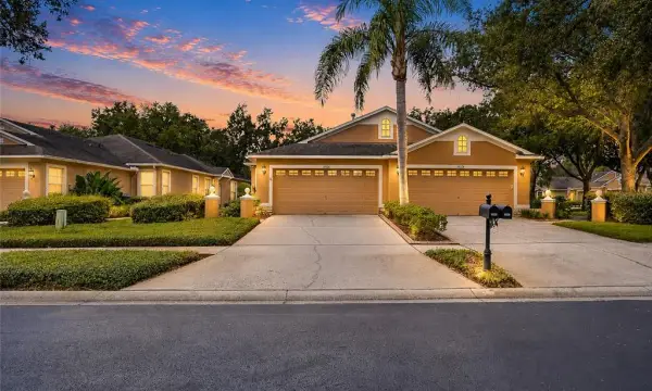 19126 White Wing Place, Tampa, FL, 33647