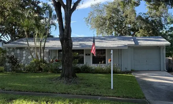 2905 Lemonwood Street, Clearwater, FL, 33759