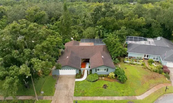 1297 Peach Tree Drive, Dunedin, FL, 34698