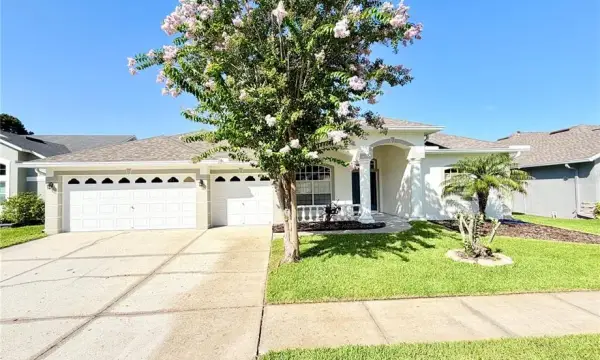 14606 Coral Berry Drive, Tampa, FL, 33626
