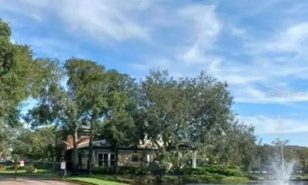 10024 Strafford Oak Court, Unit 807, Tampa, FL, 33624