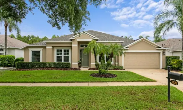 3128 Ashmonte Drive, Land O Lakes, FL, 34638