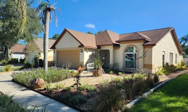 4710 Lighterwood Way, Valrico, FL, 33596