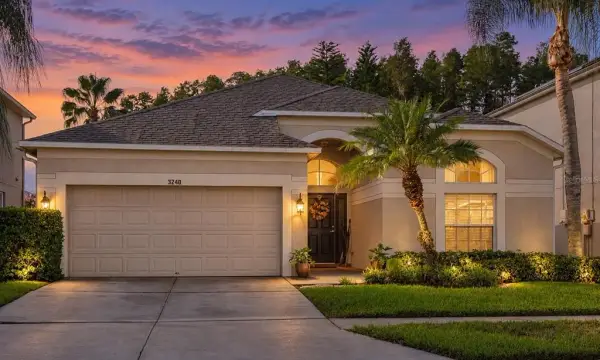 3240 Downan Point Drive, Land O Lakes, FL, 34638