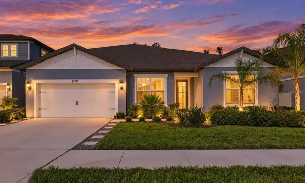 12919 Willow Grove Drive, Riverview, FL, 33579