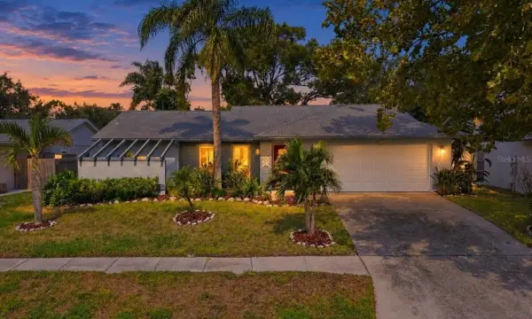 2621 Orchard Highlands Drive, Palm Harbor, FL, 34684