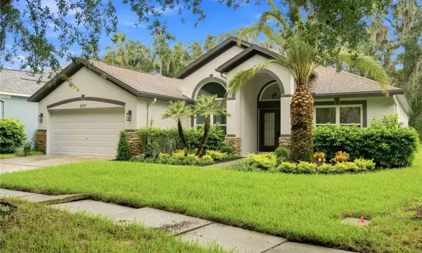 6137 Whimbrelwood Drive, Lithia, FL, 33547