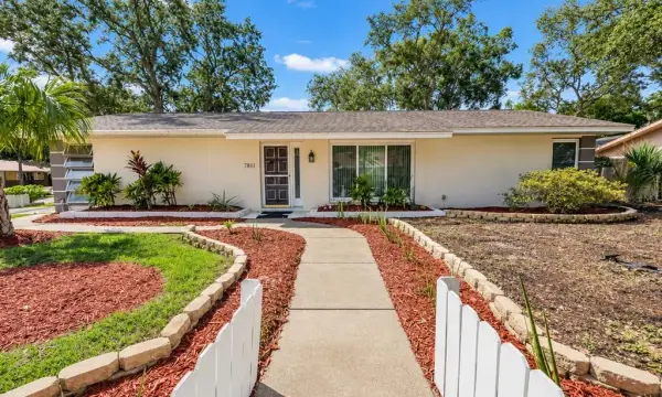 1000 Rosetree Lane, Tarpon Springs, FL, 34689
