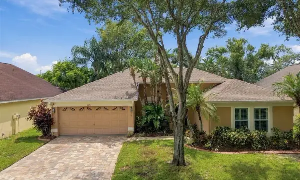 11417 Cypress Park Street, Tampa, FL, 33624