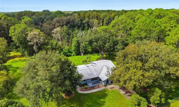 28434 Sonny Drive, Wesley Chapel, FL, 33544
